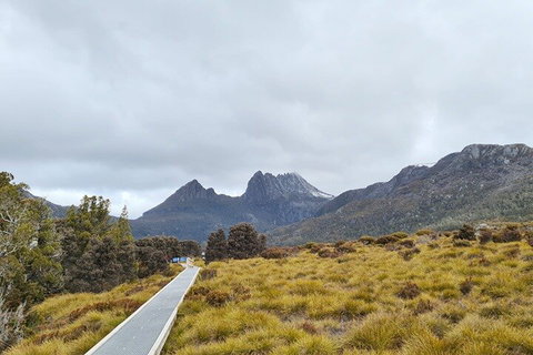 Cradle Mountain National Park Day Tour From Launceston - Pubs Adelaide 2