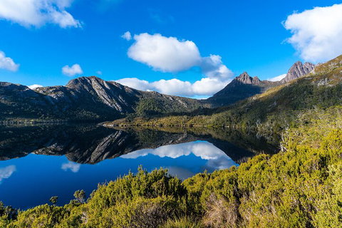 Cradle Mountain National Park Day Tour From Launceston - Pubs Adelaide 3