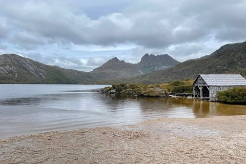 Cradle Mountain National Park Day Tour From Launceston - Pubs Adelaide 4