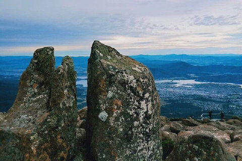 Mt Wellington Tour And MONA Admission - Pubs Adelaide 2