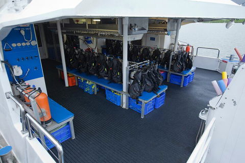 Silverswift Outer Great Barrier Reef Dive And Snorkel Cruise From Cairns - Pubs Adelaide 0