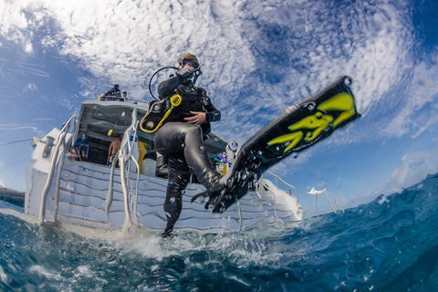 Silverswift Outer Great Barrier Reef Dive And Snorkel Cruise From Cairns - Pubs Adelaide 1