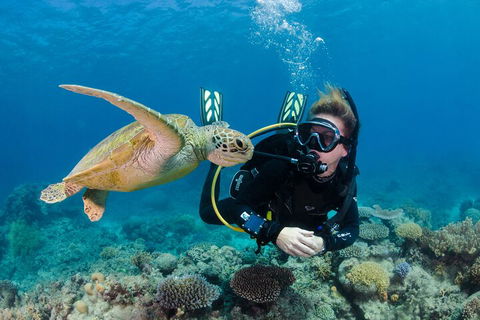 Silverswift Outer Great Barrier Reef Dive And Snorkel Cruise From Cairns - Pubs Adelaide 2
