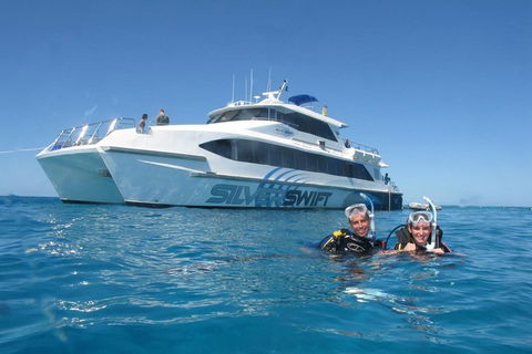 Silverswift Outer Great Barrier Reef Dive And Snorkel Cruise From Cairns - Pubs Adelaide 4