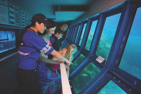Great Barrier Reef Adventure From Cairns - Pubs Adelaide 0