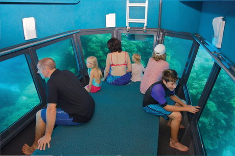 Great Barrier Reef Adventure From Cairns - Pubs Adelaide 1