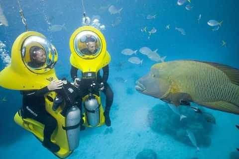 Great Barrier Reef Adventure From Cairns - Pubs Adelaide 2