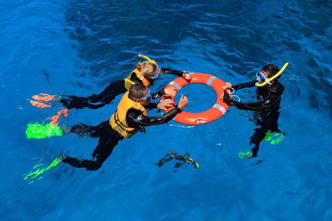 Great Barrier Reef Adventure From Cairns - Pubs Adelaide 3