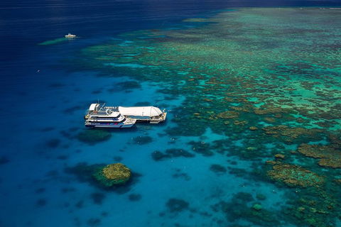 Great Barrier Reef Adventure From Cairns - Pubs Adelaide 4