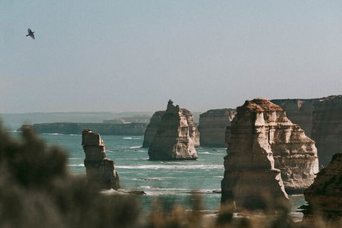 Half-Day Or Full-Day Tour With Private Guide From Melbourne - Pubs Adelaide 0
