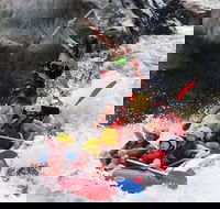 Barron Gorge National Park Half-Day White Water Rafting from Cairns or Port Douglas - Pubs Adelaide