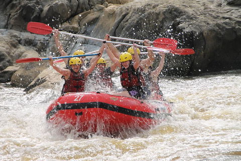 Barron Gorge National Park Half-Day White Water Rafting From Cairns Or Port Douglas - Pubs Adelaide 5