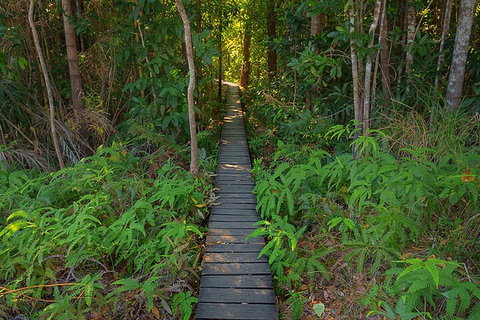 One Day Litchfield Park Adventures - Pubs Adelaide 4
