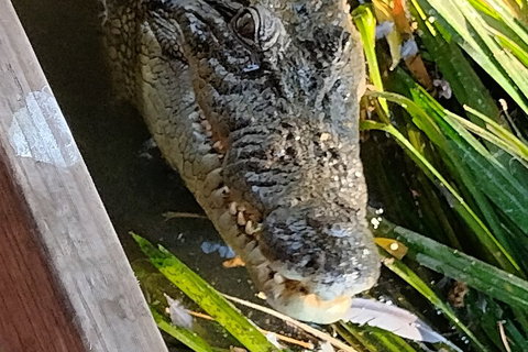 Litchfield Park Adventures And Jumping Crocodile Cruise + Butterfly Farm - Pubs Adelaide 1