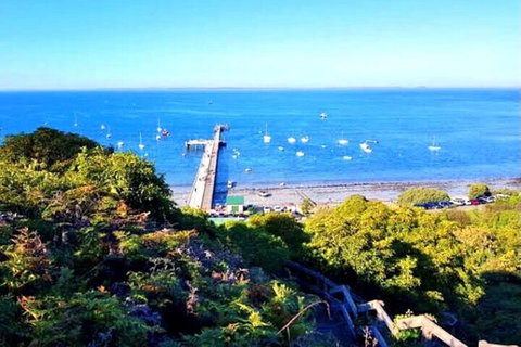 Mornington Peninsula Sightseeing Tour For 2-6 Guests. - Pubs Adelaide 1