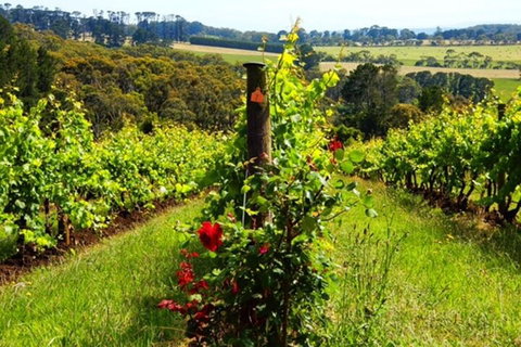 Mornington Peninsula Sightseeing Tour For 2-6 Guests. - Pubs Adelaide 3