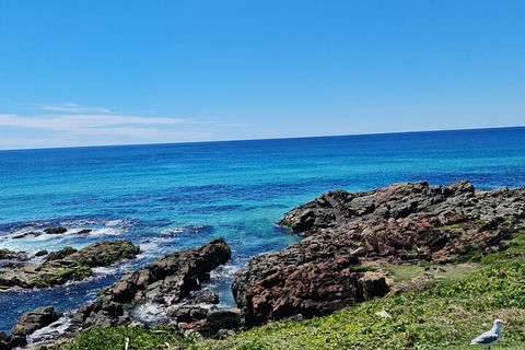 Private Custom Byron Bay Day Out - Pubs Adelaide 4
