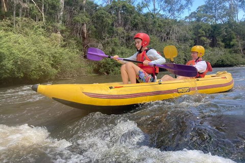 Yarra River Half-Day Rafting Experience - Pubs Adelaide 1