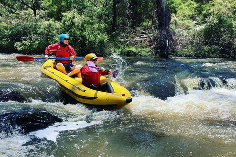 Yarra River Half-Day Rafting Experience - Pubs Adelaide 4