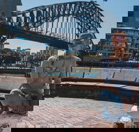 Sydney Private Tours by Locals 100 Personalized See the City Unscripted - Pubs Adelaide