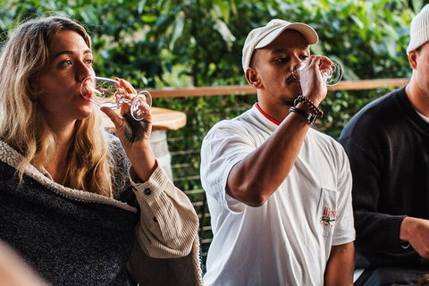 Full-Day Tour To Byron Bay Best Food And Drink Spots - Pubs Adelaide 1