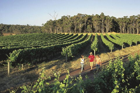 Margaret River, Caves, Wine And Cape Leeuwin Lighthouse Tour From Perth - Pubs Adelaide 1