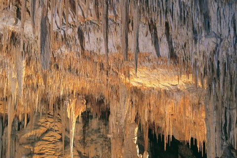 Margaret River, Caves, Wine And Cape Leeuwin Lighthouse Tour From Perth - Pubs Adelaide 3