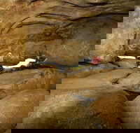 2-Day Wave Rock York Wildflowers  Aboriginal Experience - Pubs Adelaide