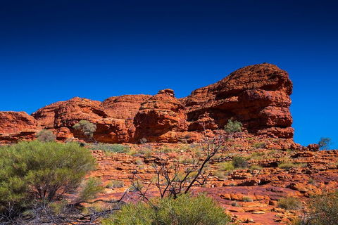 7-Day Guided Tour Of Alice Springs With Accommodation Included - Pubs Adelaide 4
