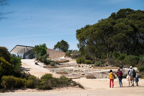 2-Hour Koala Walking Tour In Kangaroo Island - Pubs Adelaide 3