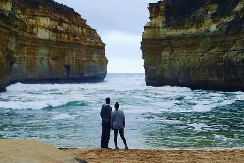 Great Ocean Road Small-Group Ecotour From Melbourne - Pubs Adelaide 1