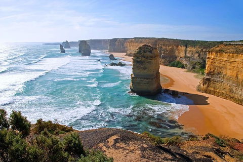 Great Ocean Road Small-Group Ecotour From Melbourne - Pubs Adelaide 2