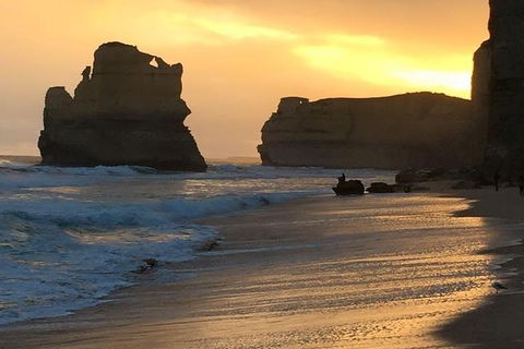 Great Ocean Road Small-Group Ecotour From Melbourne - Pubs Adelaide 5