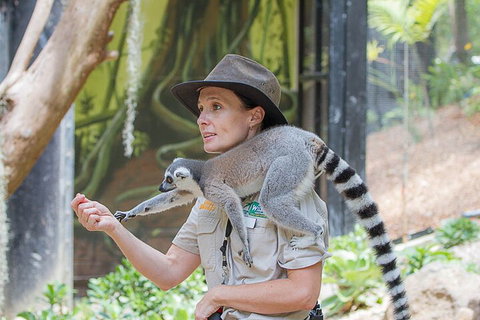 Currumbin Wildlife Sanctuary General Entry Ticket - Pubs Adelaide 1