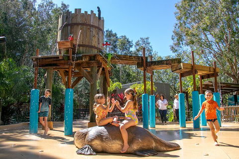 Currumbin Wildlife Sanctuary General Entry Ticket - Pubs Adelaide 5