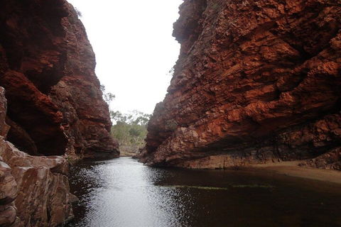West MacDonnell Ranges Half - Day Tour - Pubs Adelaide 4