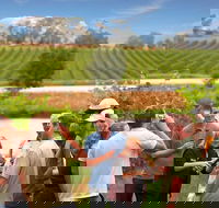 Yarra Valley Wine and Winery Tour from Melbourne - Pubs Adelaide