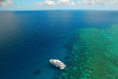 Great Barrier Reef Snorkeling And Diving Cruise From Cairns - Pubs Adelaide 4