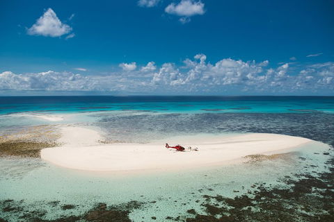 Private Helicopter Tour: Reef Island Snorkeling And Gourmet Picnic Lunch - Pubs Adelaide 4