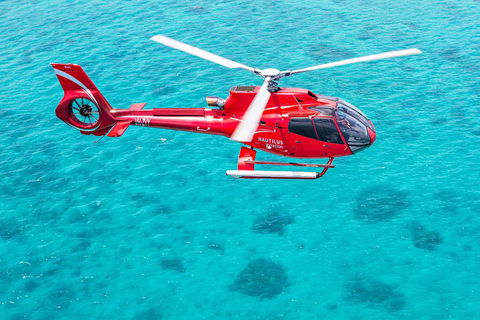 Port Douglas Scenic Flights - Pubs Adelaide 2