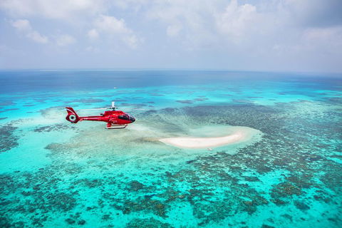 Ultimate Great Barrier Reef And Rainforest 45-minute Helicopter Tour - Pubs Adelaide 3