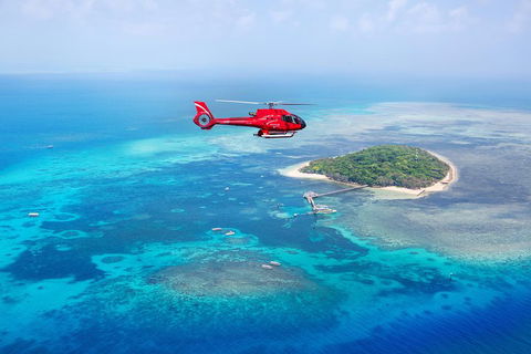 Ultimate Great Barrier Reef And Rainforest 45-minute Helicopter Tour - Pubs Adelaide 4
