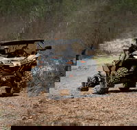 Octopussy 1.5 hour off-road tour in Darwin 1 person in 2 seater