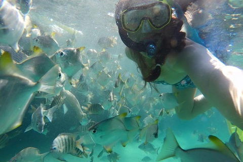 2-Day Moreton Island 4WD Camping Tour From Brisbane - Pubs Adelaide 0