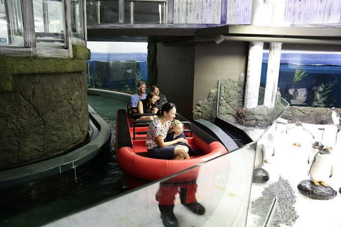 Sydney Attractions Pass: SEA LIFE Aquarium, Sydney Tower Eye, WILD LIFE Zoo And Madame Tussauds - Pubs Adelaide 0