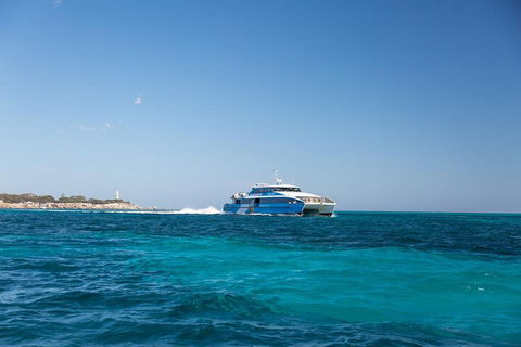 Fremantle To Rottnest Island Roundtrip Ferry Ticket - Pubs Adelaide 5
