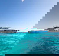 Rottnest Island All-Inclusive Grand Island Tour from Fremantle - Pubs Adelaide