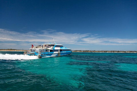 Rottnest Island Bike & Ferry Package From Fremantle - Pubs Adelaide 4