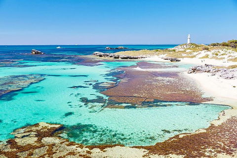 Rottnest Island Bike, Snorkel & Ferry Package From Fremantle - Pubs Adelaide 4