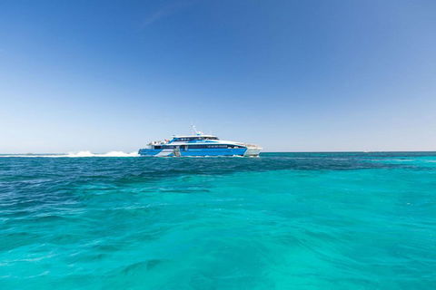 Rottnest Island Bayseeker Day Trip From Perth - Pubs Adelaide 0